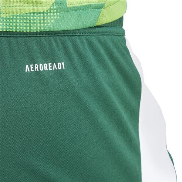 adidas Tiro 24 Short Team Dark Green / White XXL