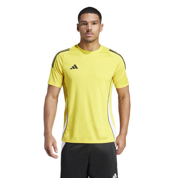 adidas Tiro 24 Competition Trikot Herren teamyellow/white M